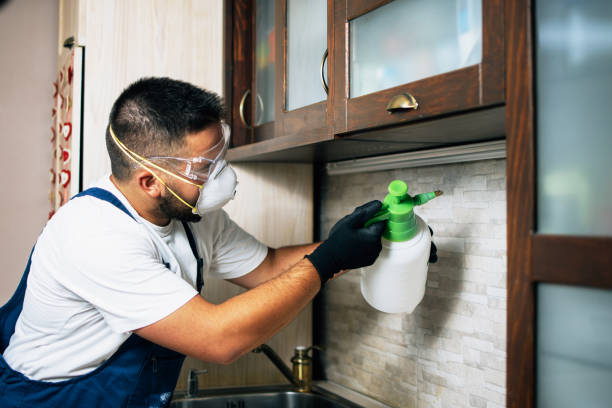 Best Best Pest Control Companies  in Absecon, NJ