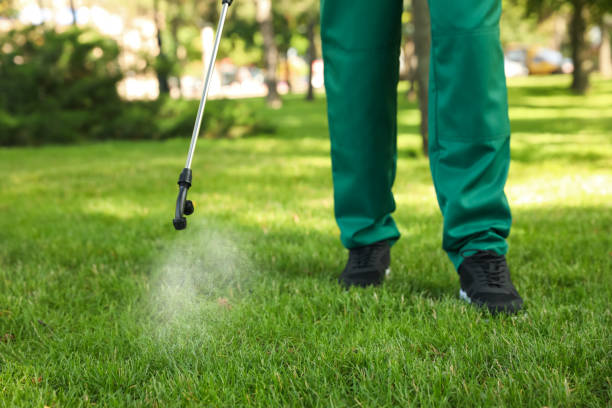 Best Mosquito Control Services  in Absecon, NJ