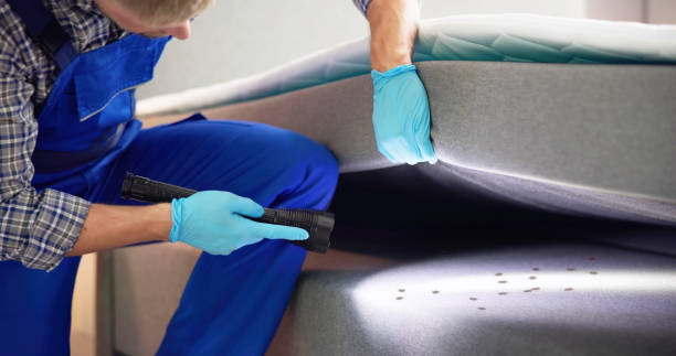 Best Pest Prevention Services  in Absecon, NJ