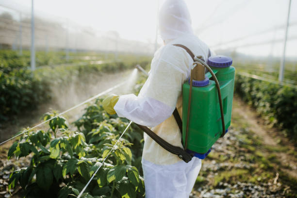 Best Ant Control Services  in Absecon, NJ